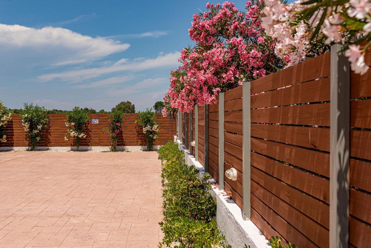 Blossom Villa Laganas Exteriér fotografie